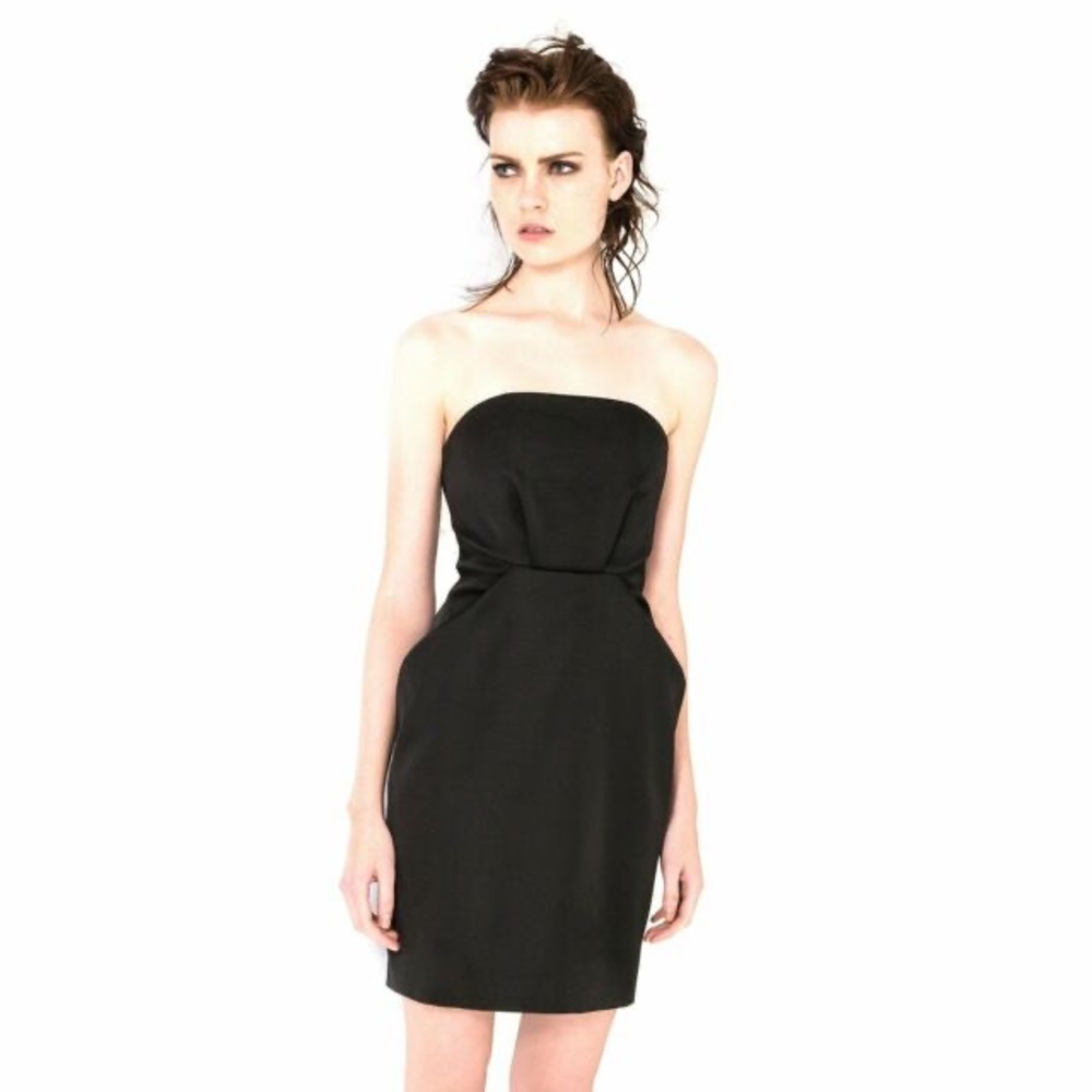 Darted Party Dress